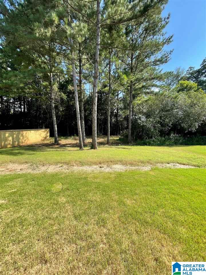 8616 Clarke Lane Leeds, AL 35094 - Photo 2 of 35