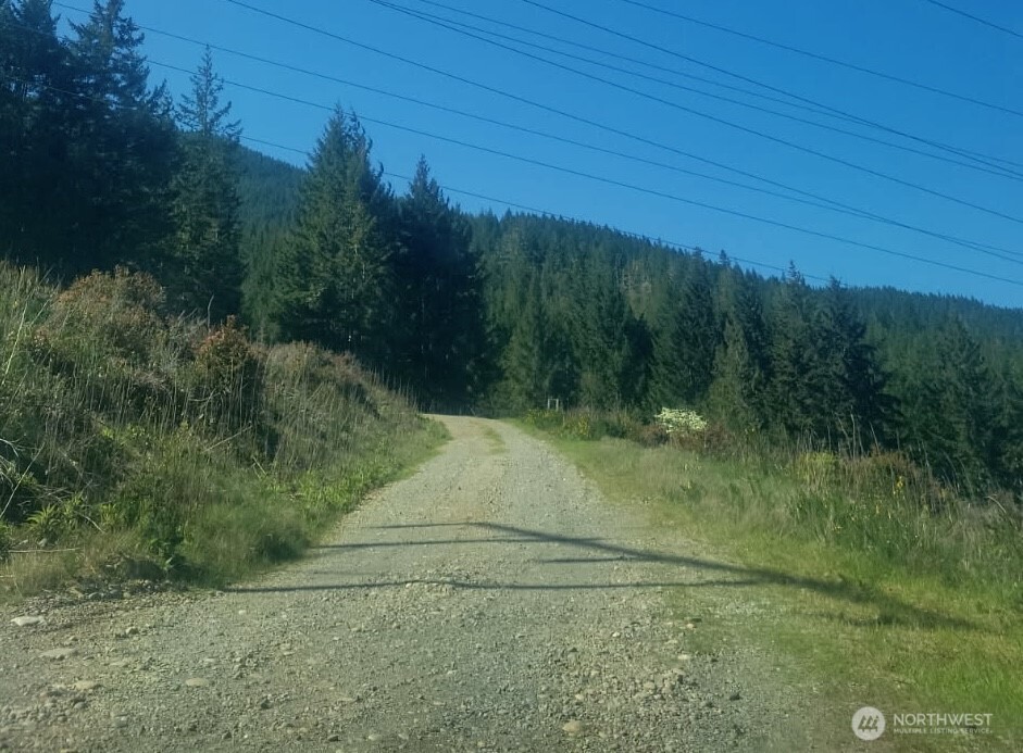 7611 North Triton Heights Road Lilliwaup, WA 98555 - Photo 31 of 35 a view of a yard