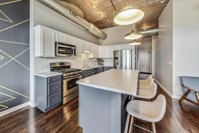 $490,000 | 1111 West 14th Place, Unit 328, Chicago, IL 60608