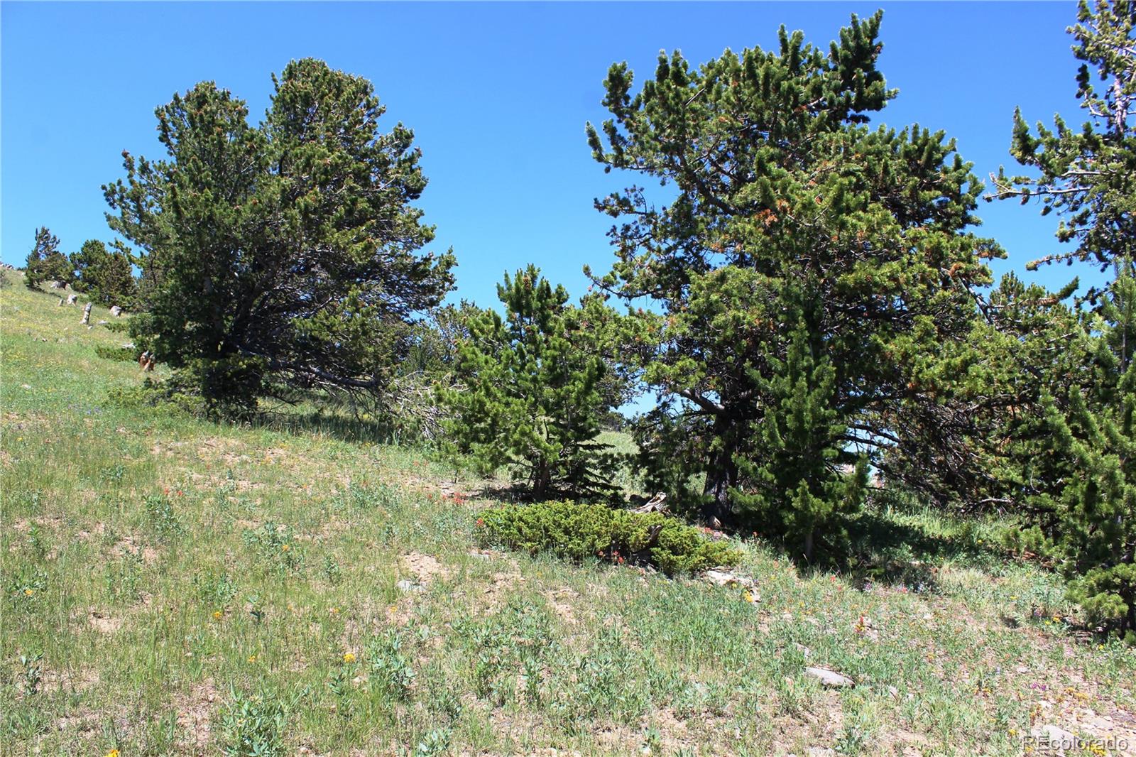 1595 Missouri Gulch Road Black Hawk, CO 80422 - Photo 31 of 49