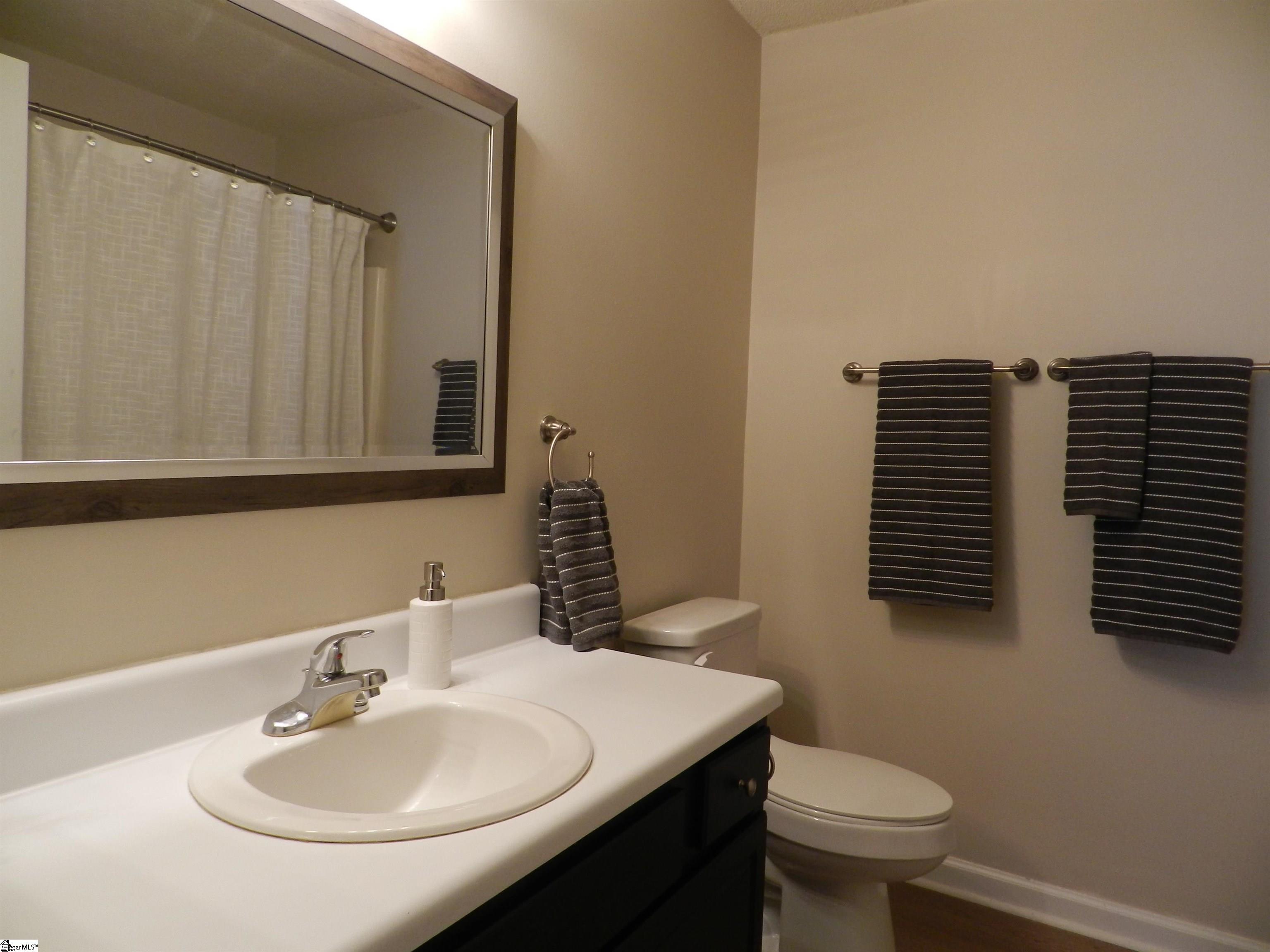 801 Pelham Square Way Greer, SC 29650 - Photo 16 of 18