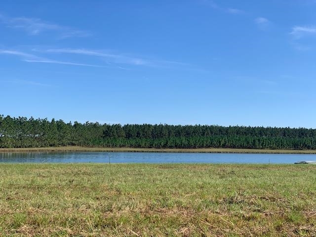 0 Eddie Clyde Road Ailey, GA 30410 - Photo 1 of 1 Gallery Image 1