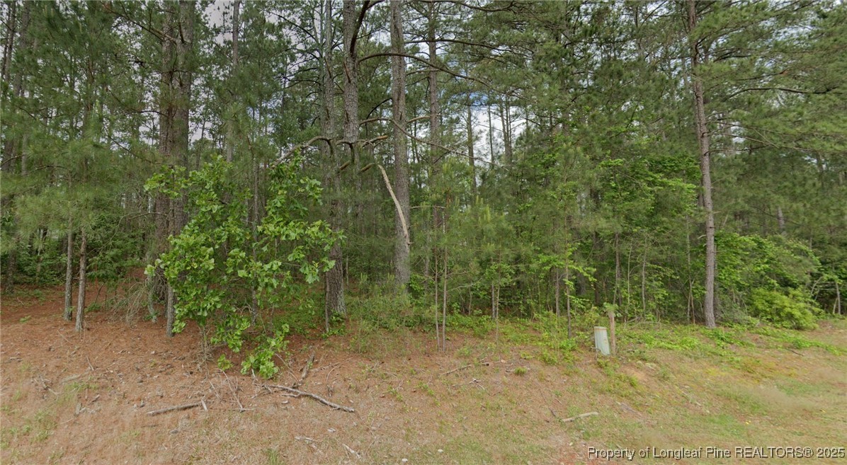 37 Peach Orchard Road Wagram, NC 28396 - Photo 1 of 11 Gallery Image 1