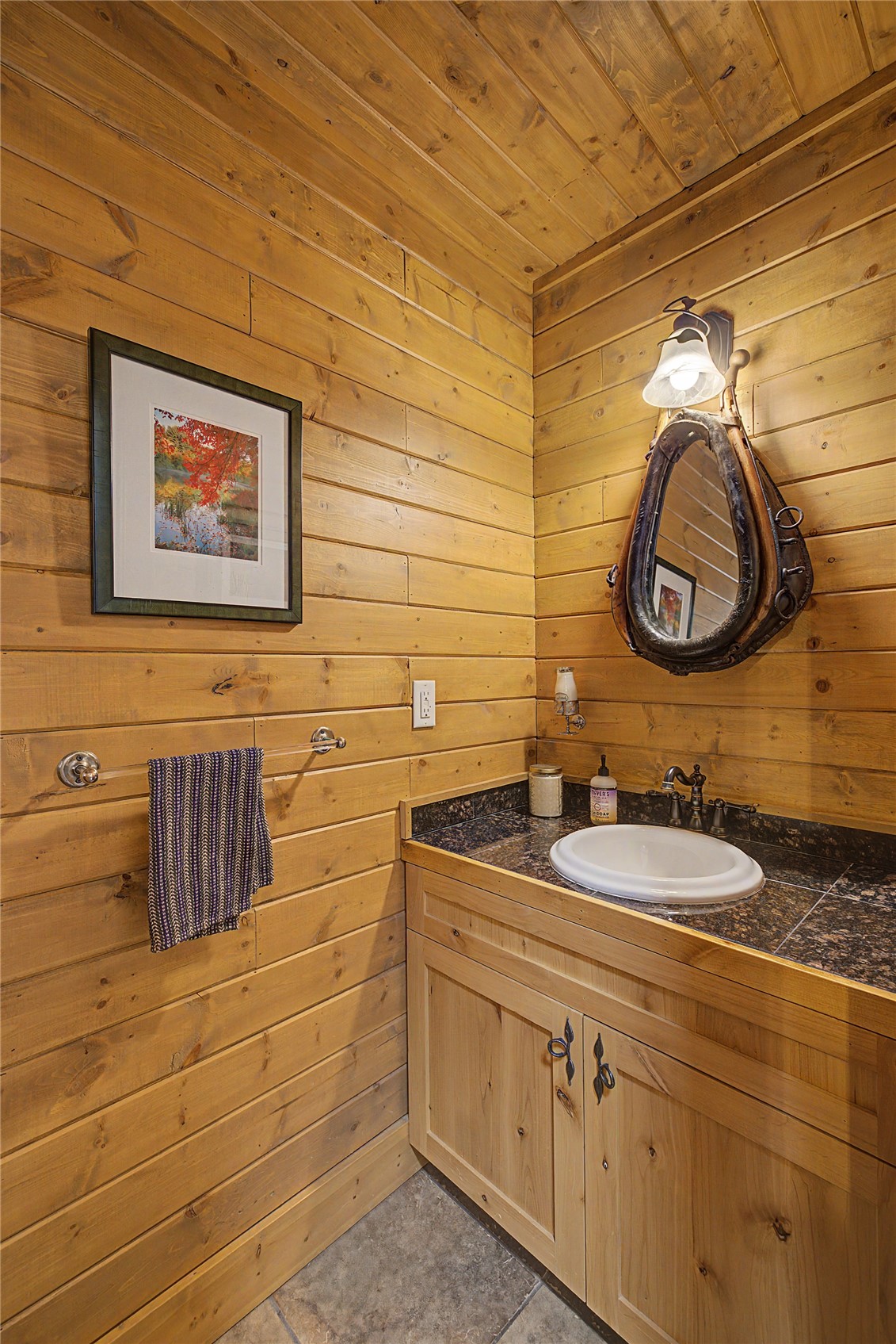 62 Lazy Rex Road Alma, CO 80420 - Photo 24 of 47