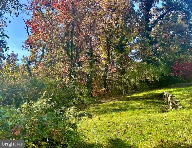 a view of a yard with a tree