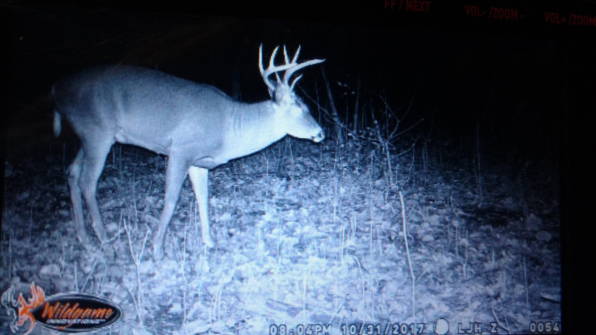 0 West Tee Lake Road Germfask, MI 49836 - Photo 9 of 29 Gallery Image 9