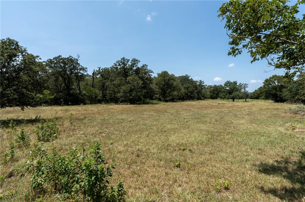 Tbd Templeton Road Hearne, TX 77859 - Photo 18 of 19 Gallery Image 18