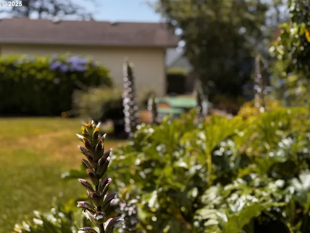 a view of a workspace room with wooden floor cabinet and mirror