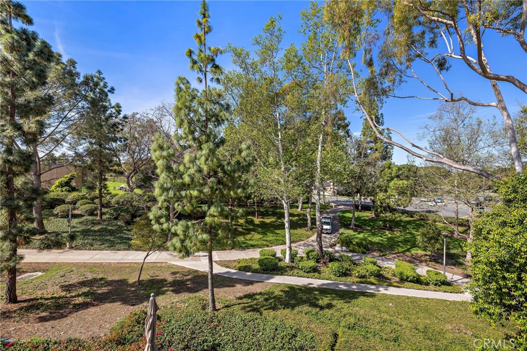 23 Rainbow Falls Irvine, CA 92603 - Photo 38 of 62 View from back of house