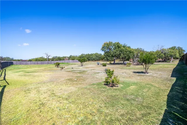 a view of a backyard with a large tree