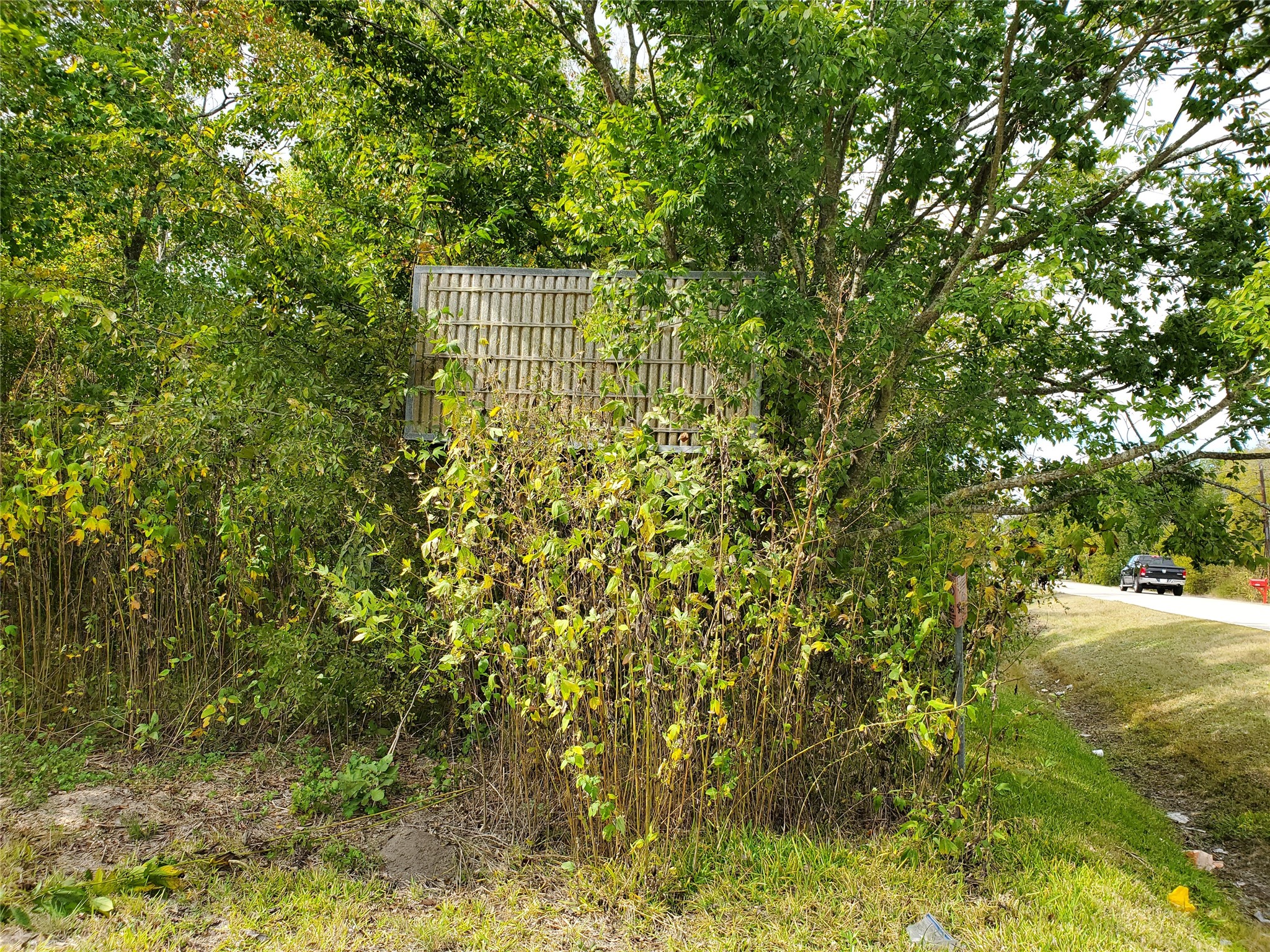 1635 West Cedar Bayou Lynchburg Road Baytown, TX 77521 - Photo 16 of 18 a picture of a tree