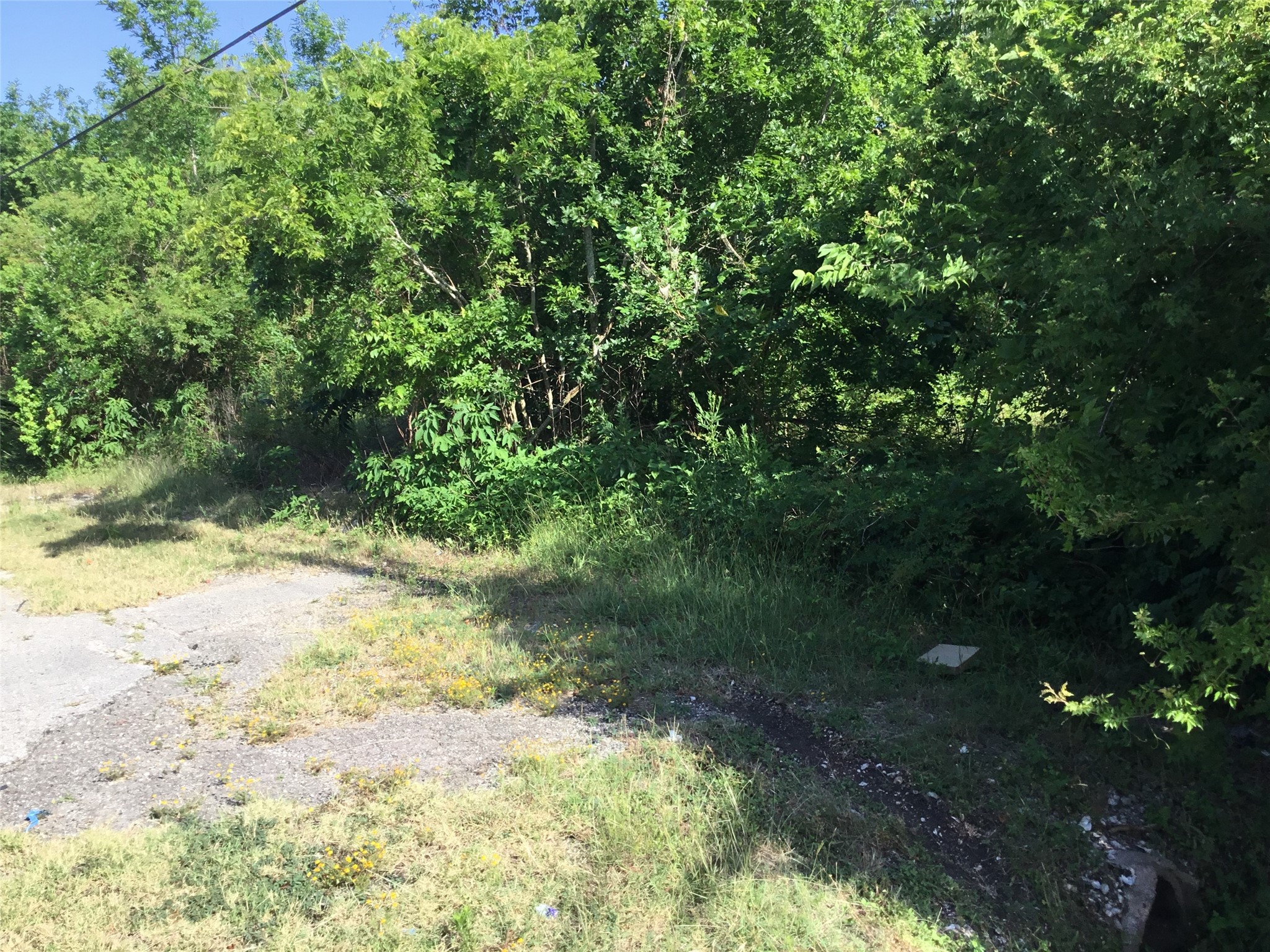 1635 West Cedar Bayou Lynchburg Road Baytown, TX 77521 - Photo 3 of 18 a view of a yard with plants and large trees