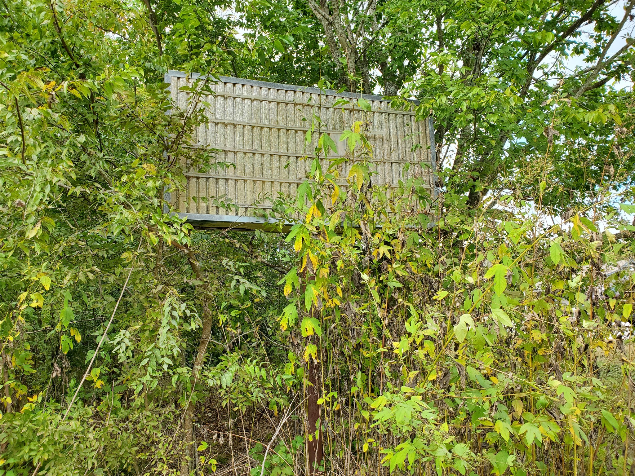 1635 West Cedar Bayou Lynchburg Road Baytown, TX 77521 - Photo 4 of 18 a view of a garden