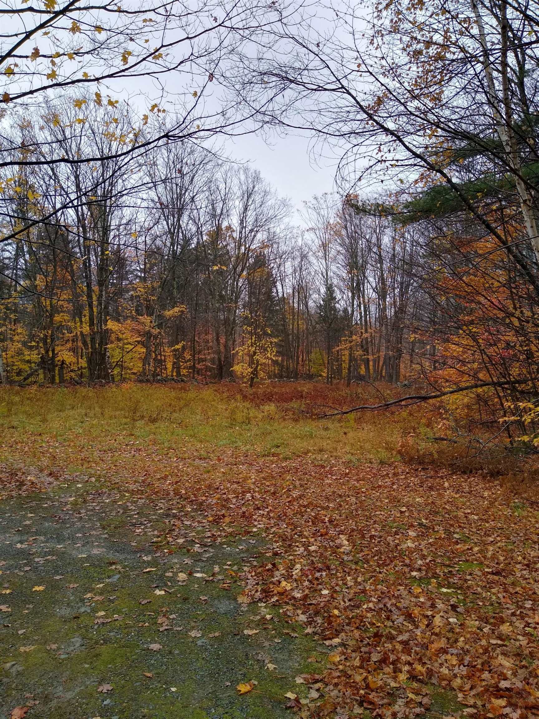 298 Rolling Rock Road Braintree, VT 05060 - Photo 5 of 15