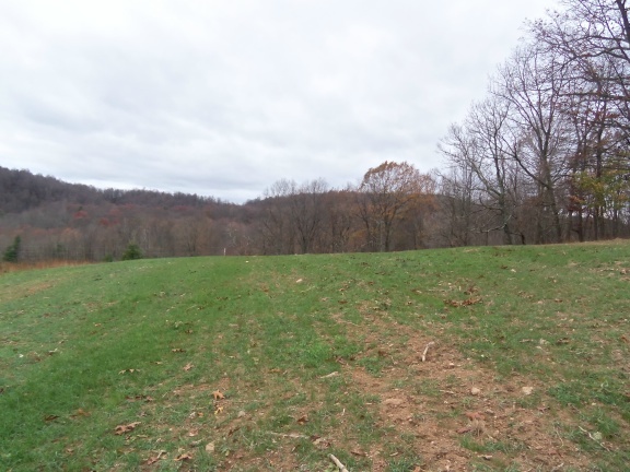 1 Black Ridge Road Southwest Floyd, VA 24091 - Photo 3 of 8 a view of an outdoor space and a yard
