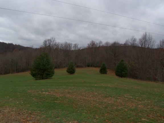 1 Black Ridge Road Southwest Floyd, VA 24091 - Photo 4 of 8 a view of a outdoor space