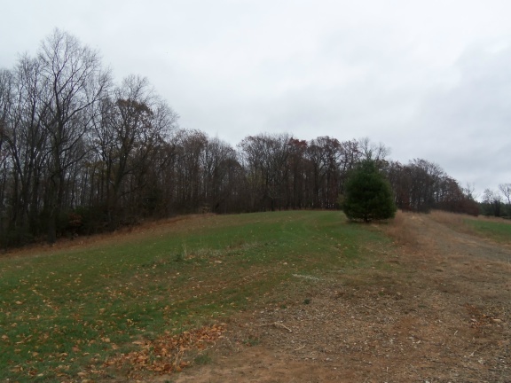 1 Black Ridge Road Southwest Floyd, VA 24091 - Photo 5 of 8 a view of a field with trees in the background