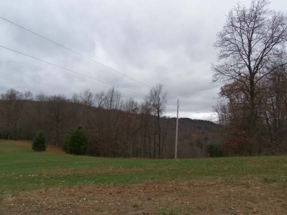 1 Black Ridge Road Southwest Floyd, VA 24091 - Photo 6 of 8 a view of a grassy field