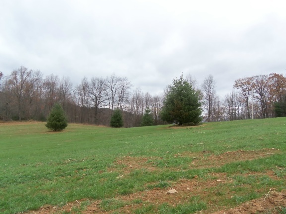 1 Black Ridge Road Southwest Floyd, VA 24091 - Photo 7 of 8 a view of a field of grass and trees