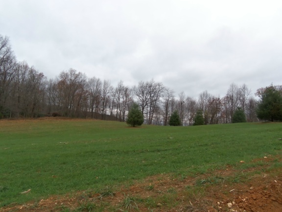 1 Black Ridge Road Southwest Floyd, VA 24091 - Photo 8 of 8 a view of field with tall trees in the background
