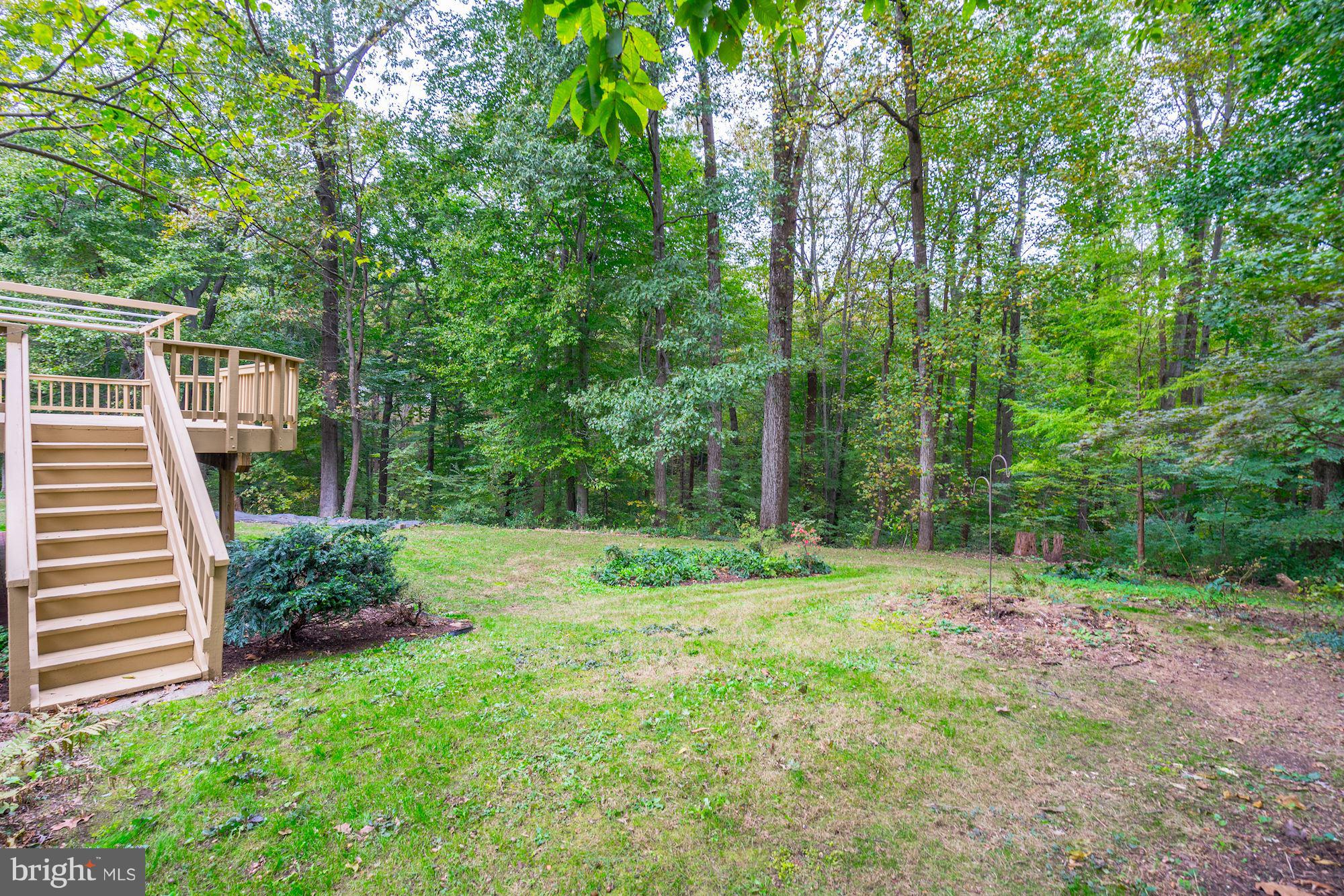 6201 Tyner Street Springfield, VA 22152 - Photo 15 of 30 Back Yard. .62 Acres!
