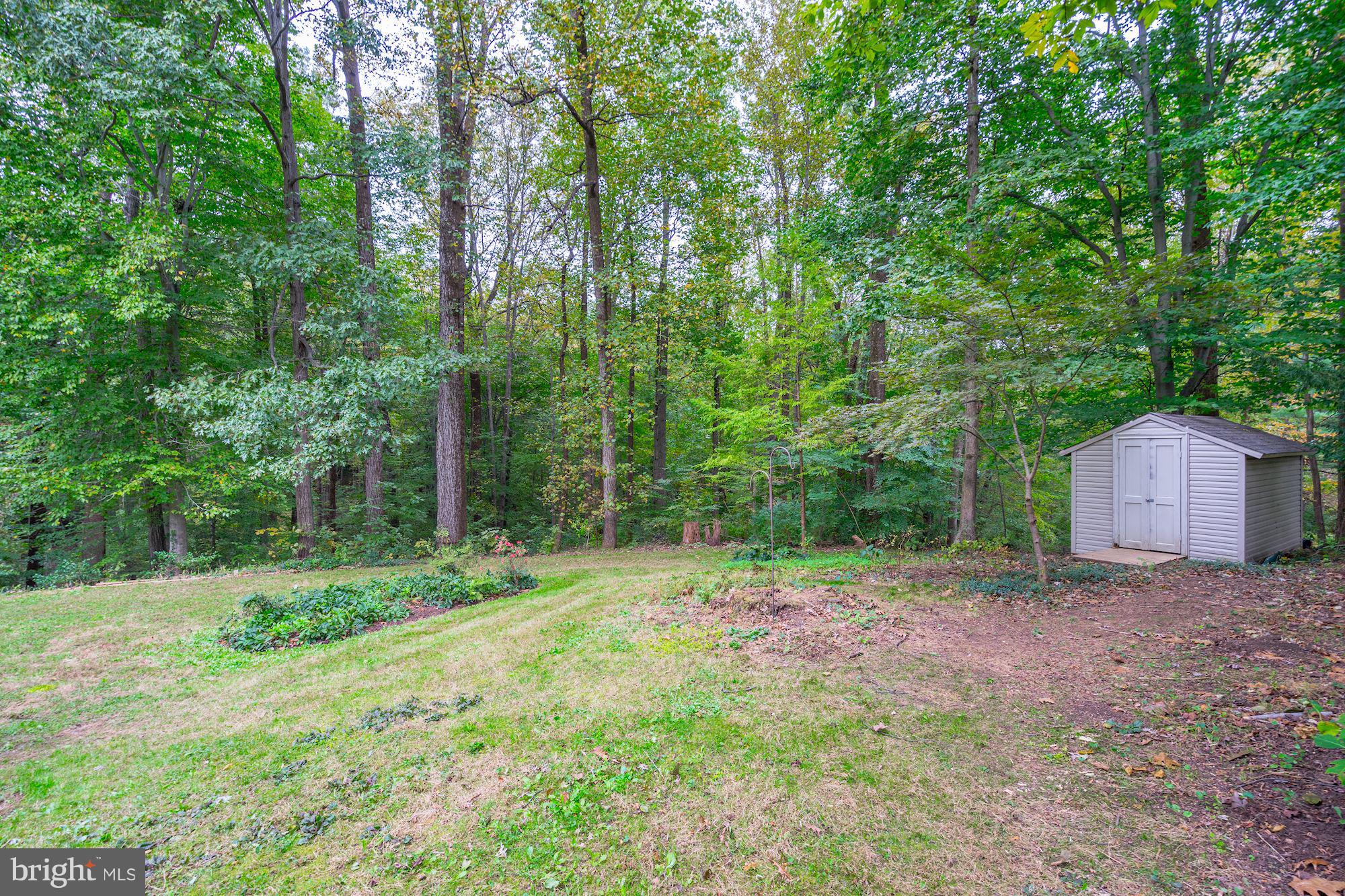 6201 Tyner Street Springfield, VA 22152 - Photo 16 of 30 Back Yard and Shed
