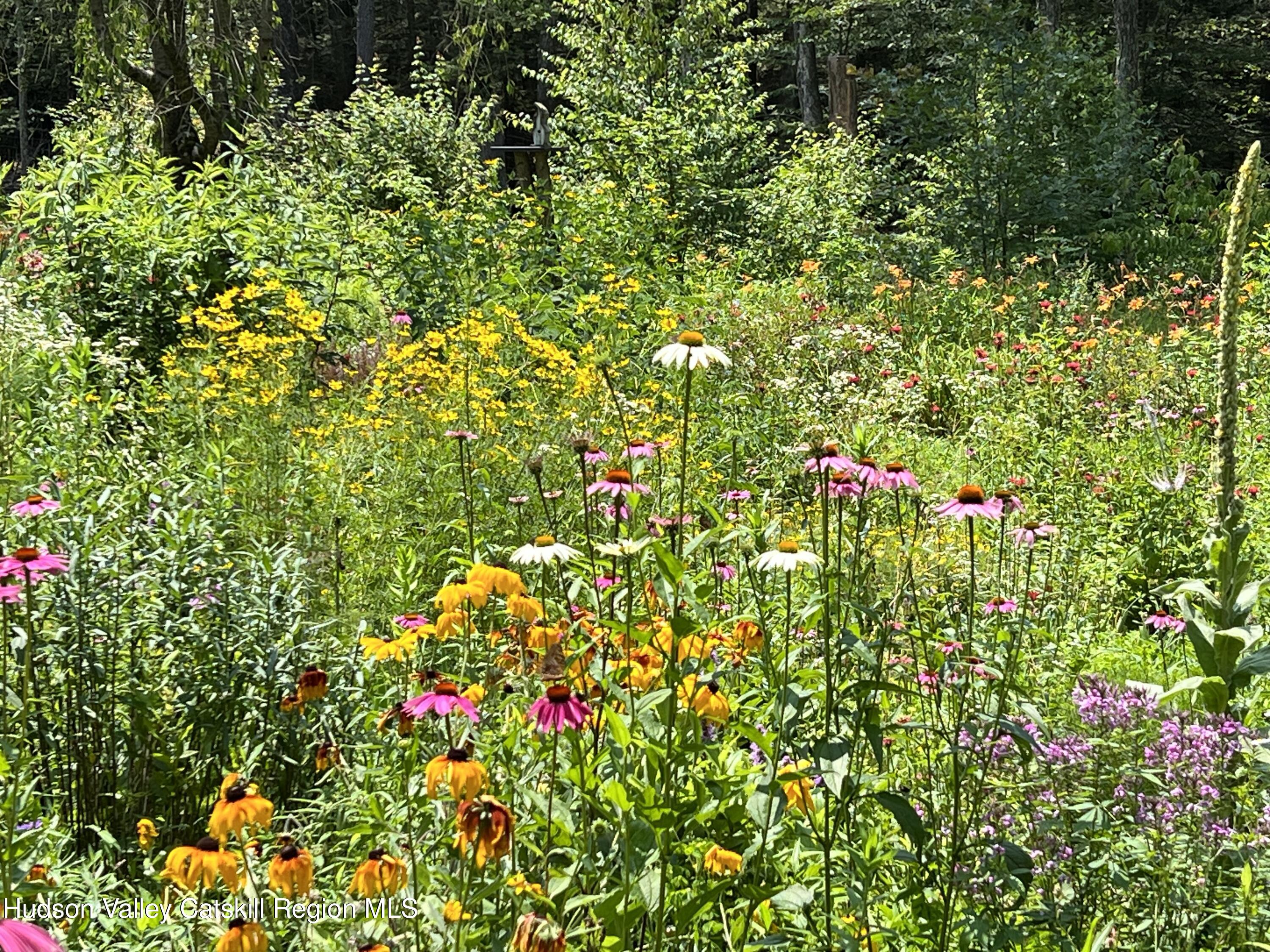 323 Beaverkill Road Kingston, NY 12401 - Photo 29 of 32 garden1