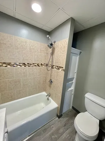 a bathroom with a toilet and a bathtub