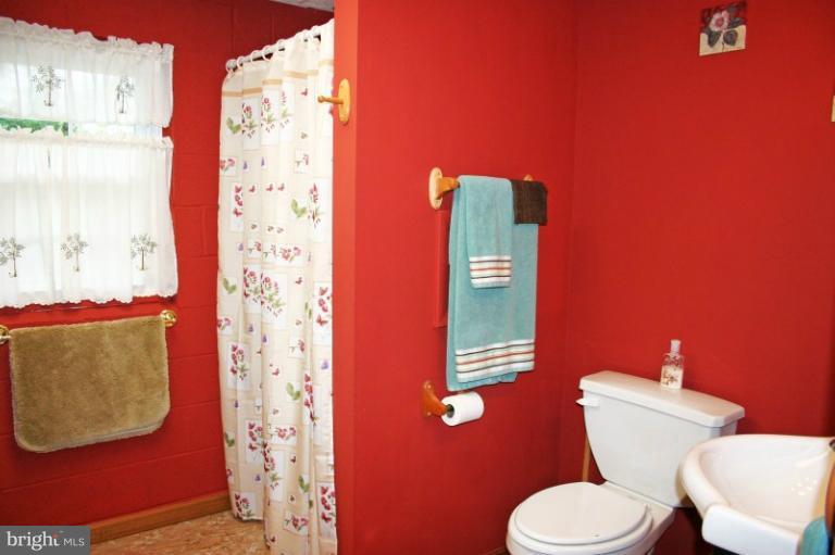 4203 Maple Grove Road Hampstead, MD 21074 - Photo 3 of 22 Lower level bath