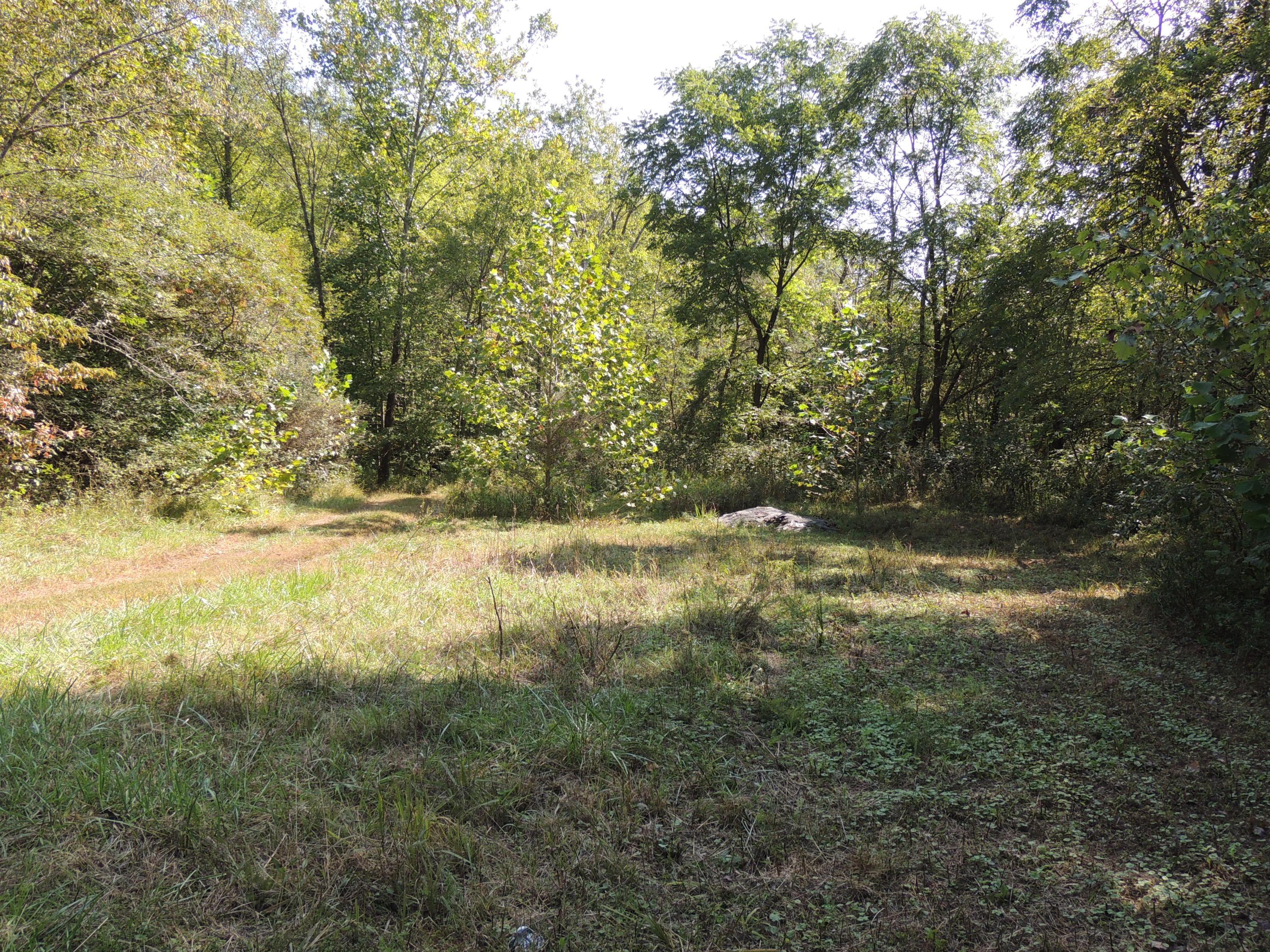 0 Bain Perkins Road Jackson, OH 45640 - Photo 4 of 14