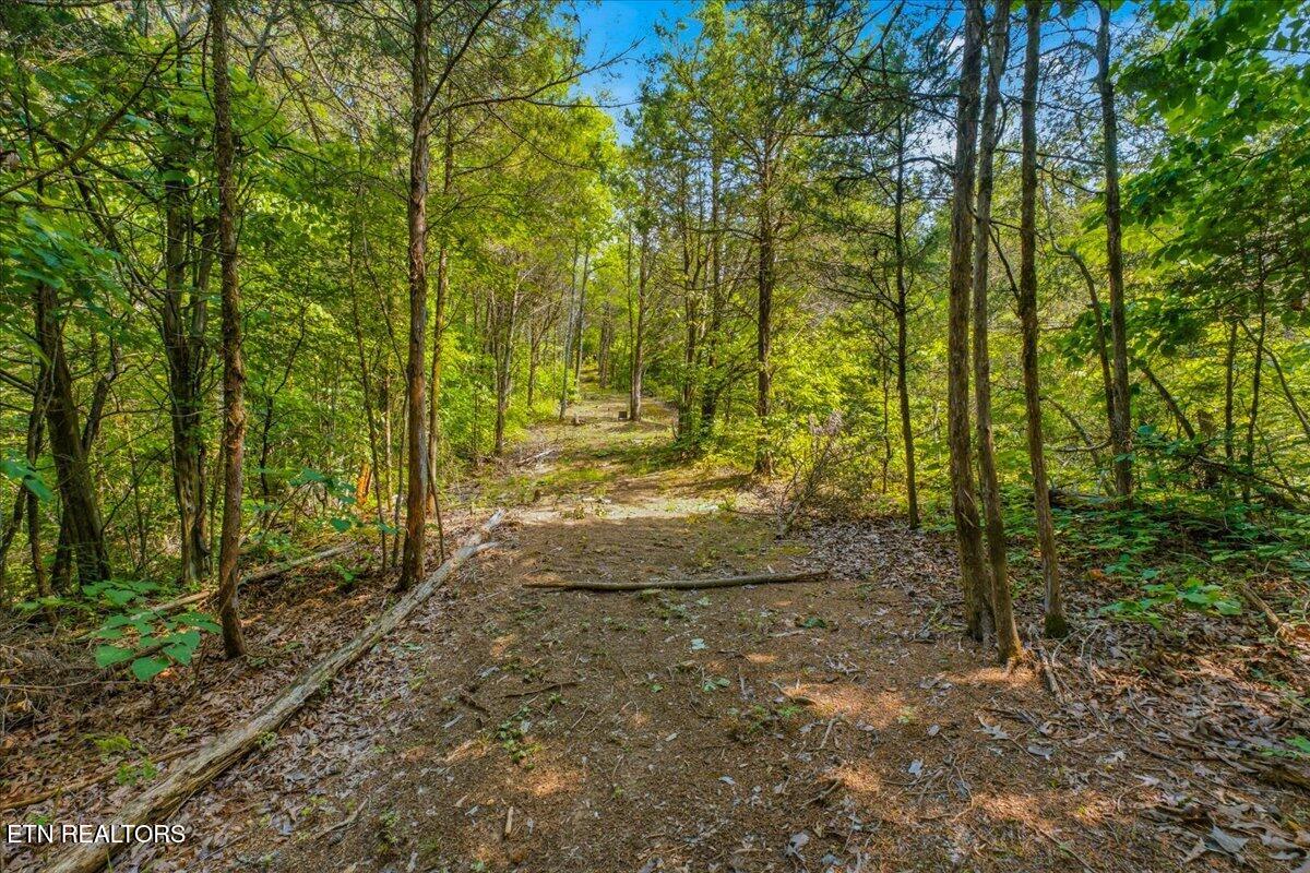 1814 Big Gully Road Maryville, TN 37801 - Photo 34 of 43 34-Exterior