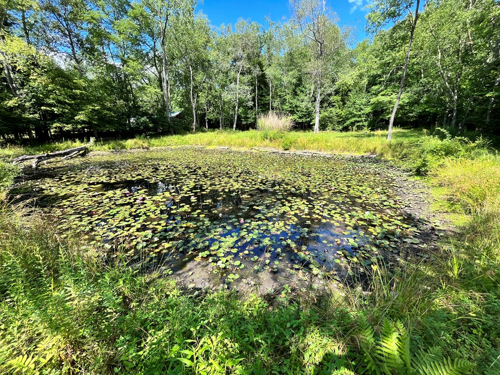 2355 Patchel Run Road Franklin, PA 16323 - Photo 52 of 75 Gallery Image 52