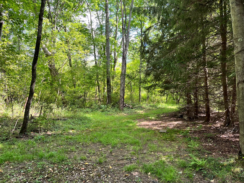 2355 Patchel Run Road Franklin, PA 16323 - Photo 69 of 75 Gallery Image 69