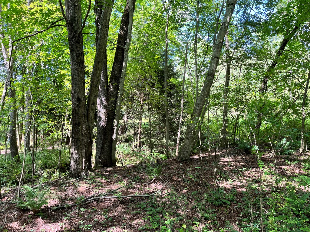 2355 Patchel Run Road Franklin, PA 16323 - Photo 72 of 75 Gallery Image 72