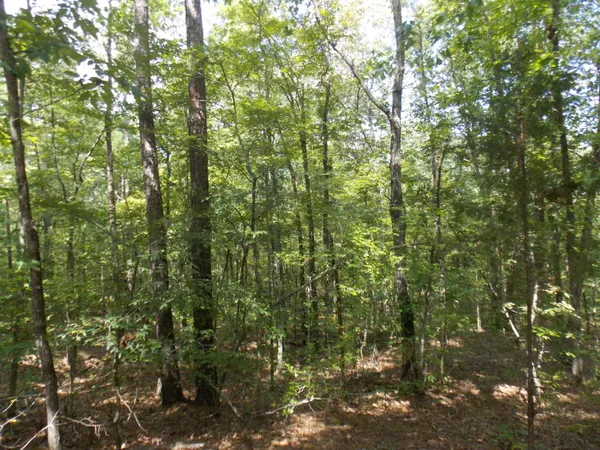 $12,000 | 11 Doe Run, Tignall, GA 30668