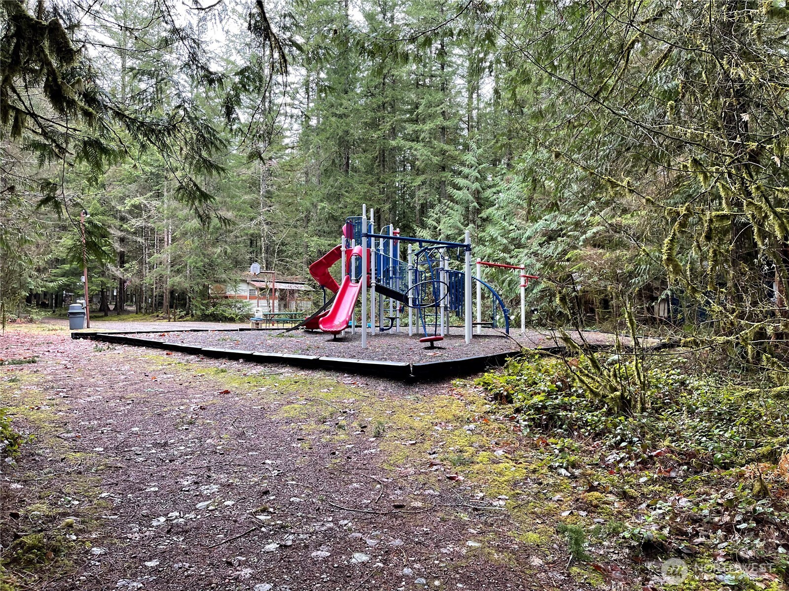 53 Branch Circle Maple Falls, WA 98266 - Photo 38 of 39 a view of a park with slide