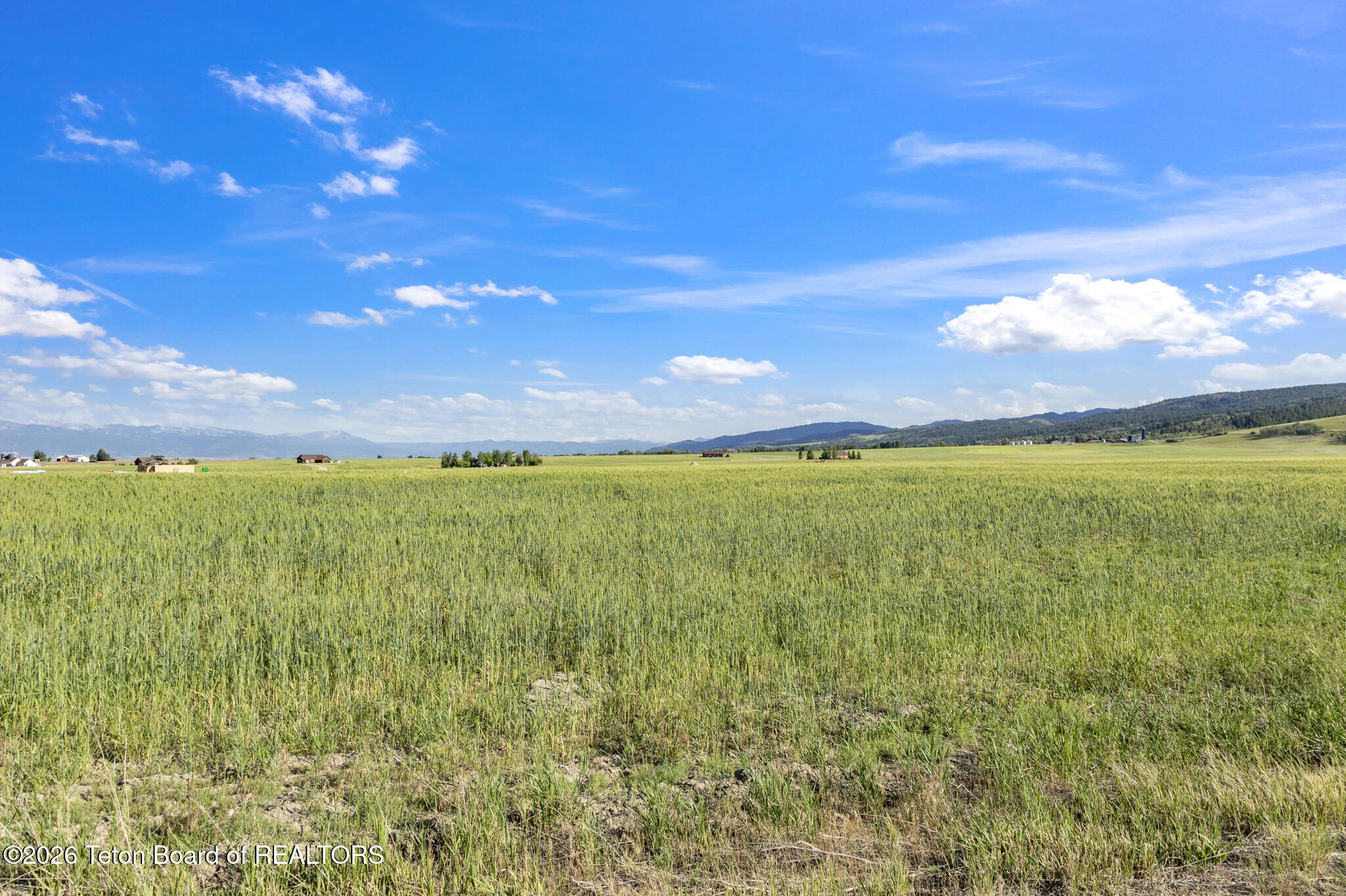 8520 Fawn Ridge Lane Tetonia, ID 83452 - Photo 27 of 43 6V2A4115