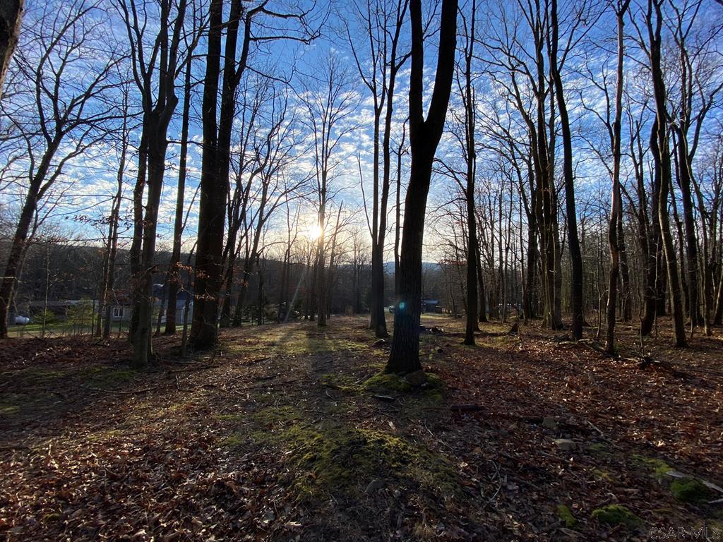 Rudder Road Ligonier, PA 15658 - Photo 10 of 12