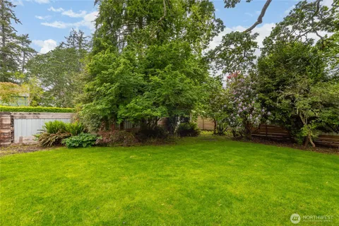 a view of a trees in a yard