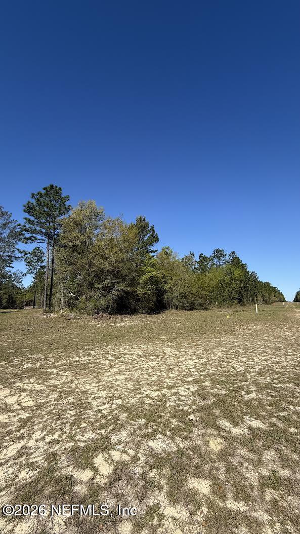 0 Mulberry Street Interlachen, FL 32148 - Photo 2 of 7 0-3