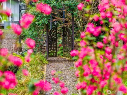 a view of a yard with potted plants