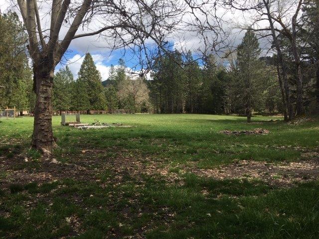 5734 Pleasant Creek Road Rogue River, OR 97537 - Photo 21 of 29 view pasture out kitchen window