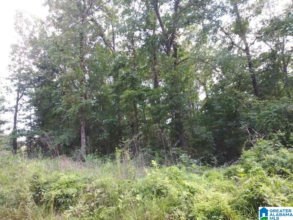 111 County Road, Unit 13 Montevallo, AL 35115 - Photo 2 of 2