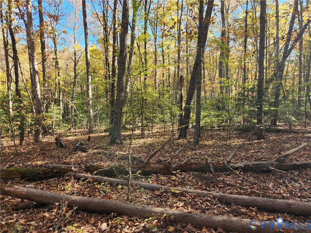 0 Sandy Hook Road Sandy Hook, VA 23153 - Photo 3 of 10