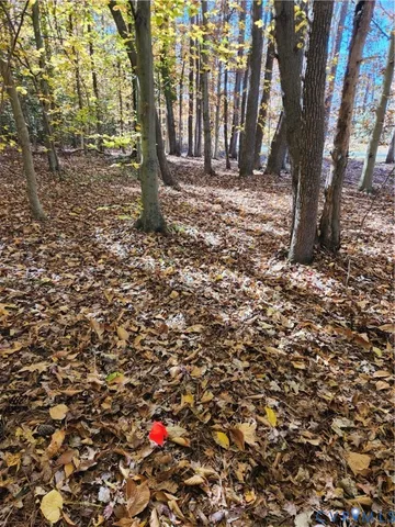 a view of a tree in the middle of a yard