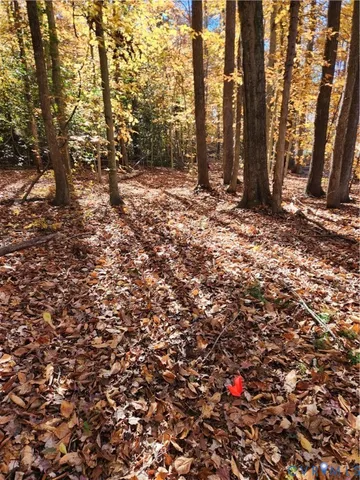 $195,000 | 0 Sandy Hook Road, Sandy Hook, VA 23153