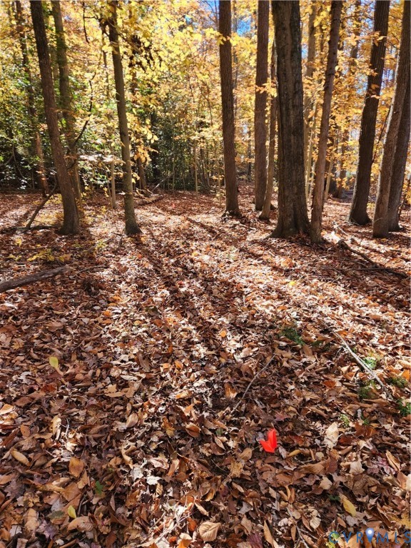 0 Sandy Hook Road Sandy Hook, VA 23153 - Photo 10 of 10 a view of a tree in the middle of a yard