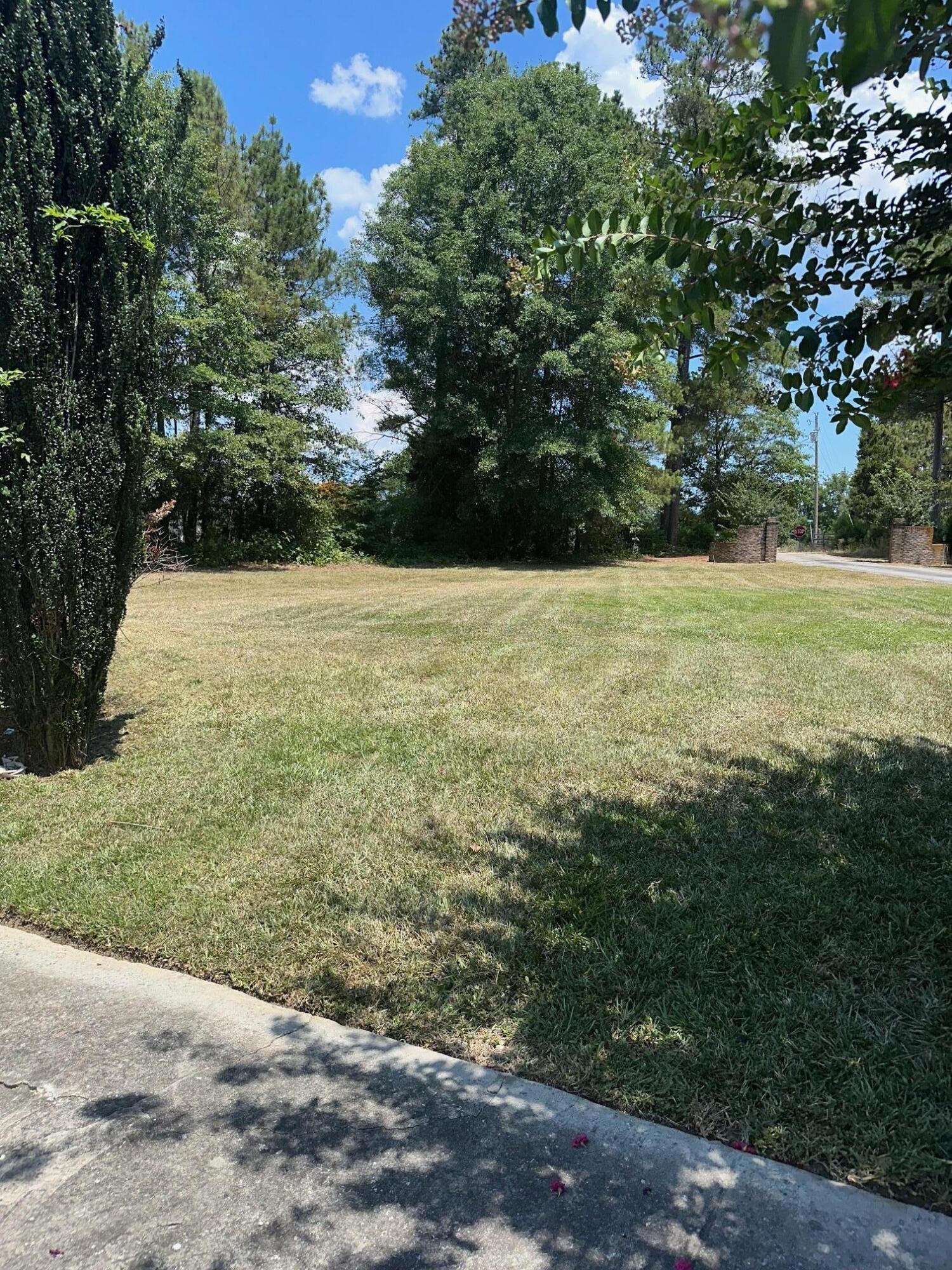 520 South Point Drive Gilbert, SC 29054 - Photo 112 of 118