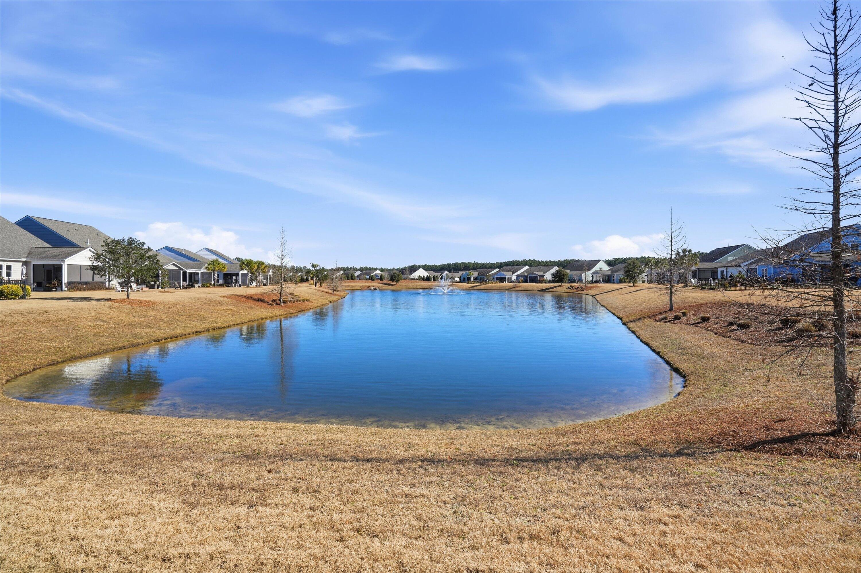 449 Switchgrass Drive Summerville, SC 29486 - Photo 28 of 42 Pond view