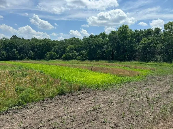 $600,000 | 151 Road Norborne Mo 64668, Norborne, MO 64668